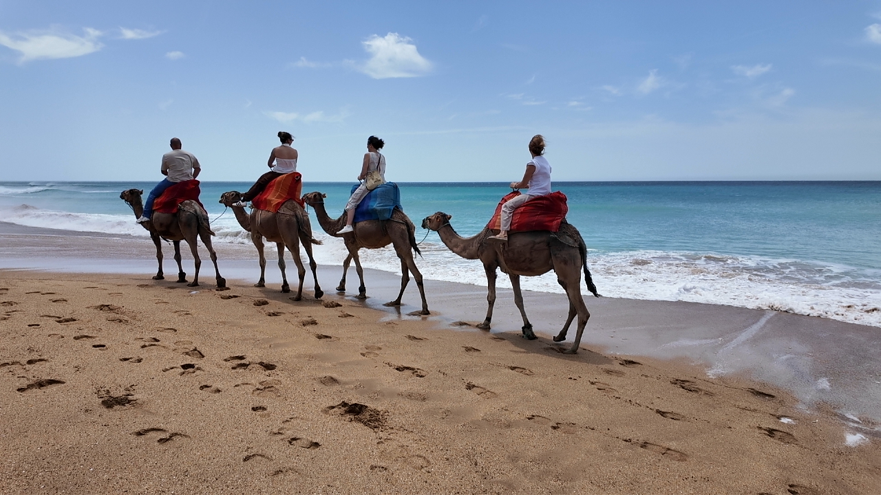 Camellos playa Achekar